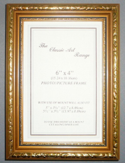 D Range - Gold Black Line Picture Frame