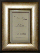 G Range - Dome Silver Picture Frame
